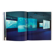 Isaac Julien exhibition book (hardback)
